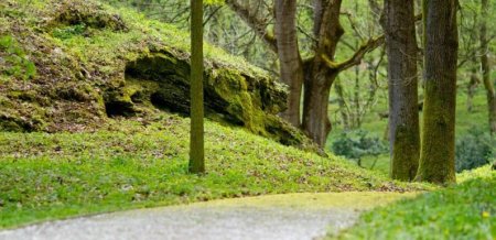 Chvíľka medzi poľovníkmi Loveckej spoločnosti Bába, na Honte