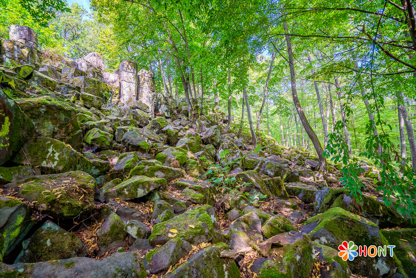 Štangarígeľ - Krupinské bralce