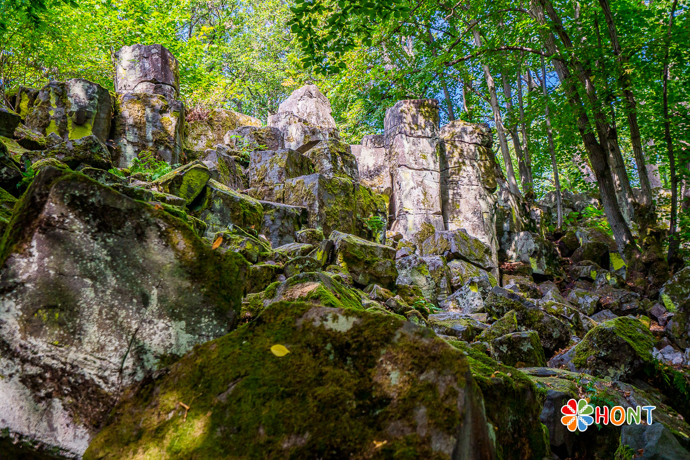 Štangarígeľ - Krupinské bralce