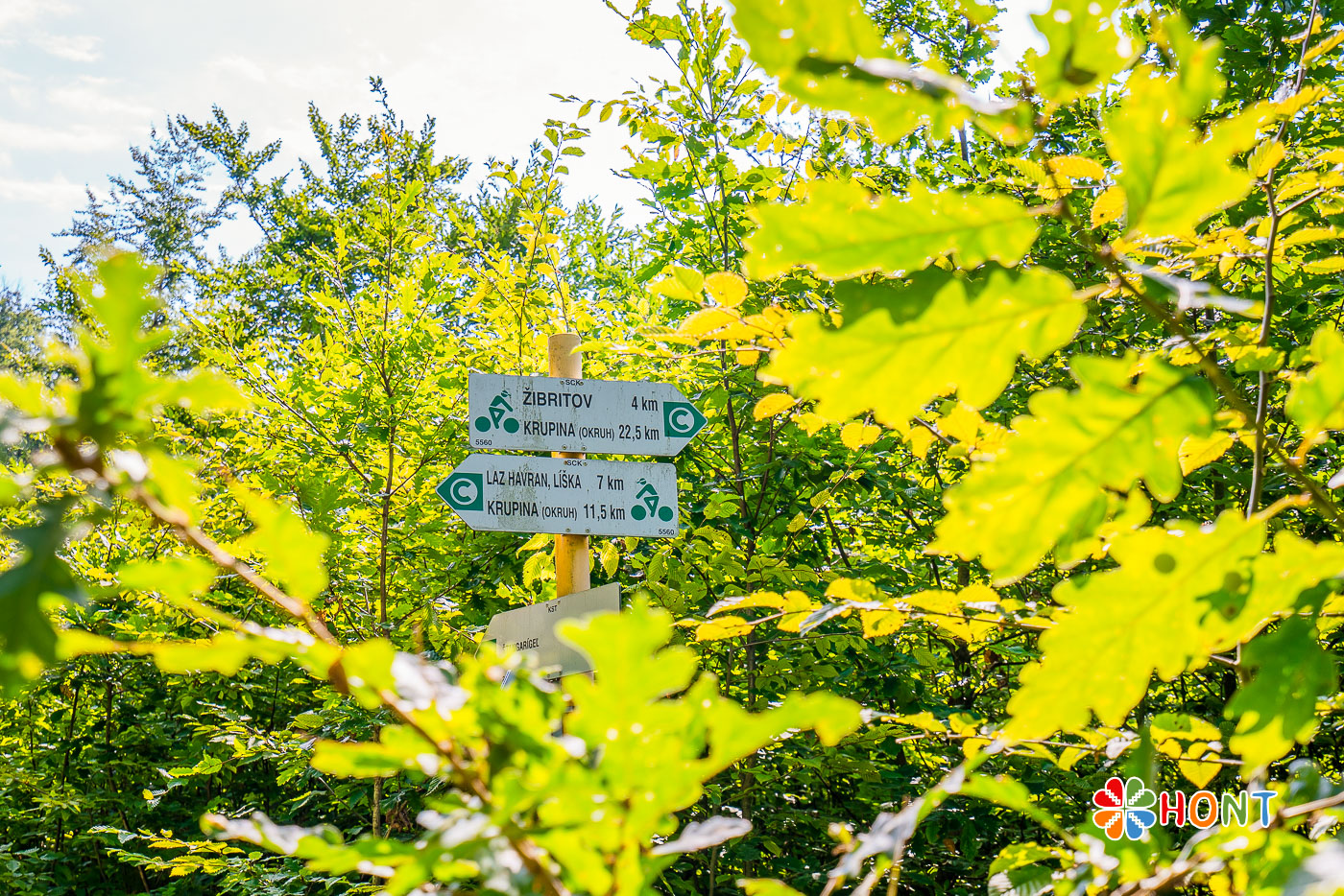 Štangarígeľ - Krupinské bralce