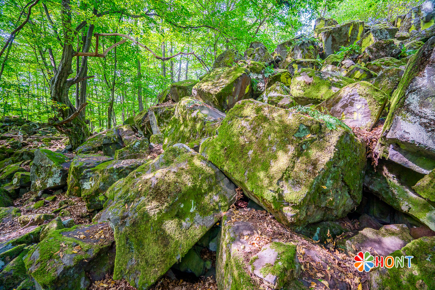 Štangarígeľ - Krupinské bralce