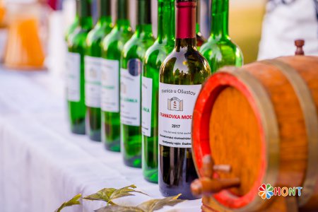 Dudinské vinobranie 2019, XIV. ročník