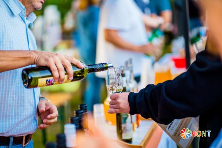 Dudinské vinobranie 2019, XIV. ročník