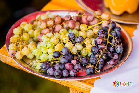 Dudinské vinobranie 2019, XIV. ročník