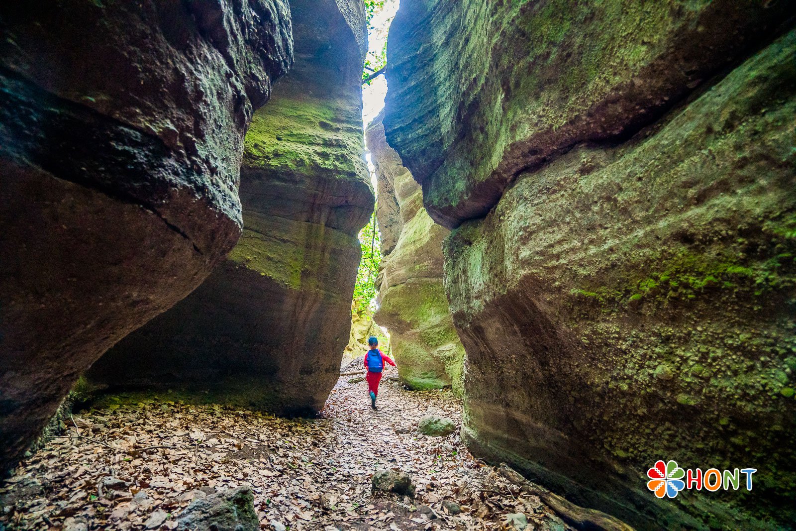 Tesárska roklina a dúpence